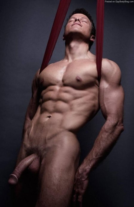 Members of muscular guys