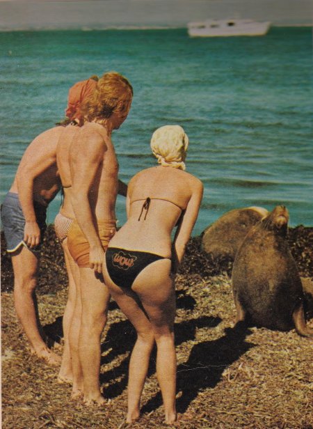 Agneta Feltskoye