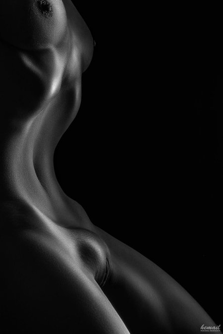 Beautiful female body nude