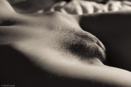 Photo shoots in the style of nude