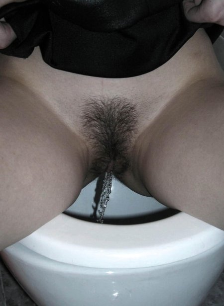 Hairy pussy in the toilet