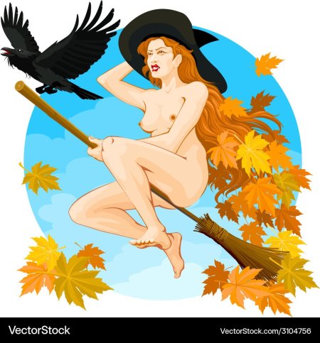 A witch on broomstick Erotic