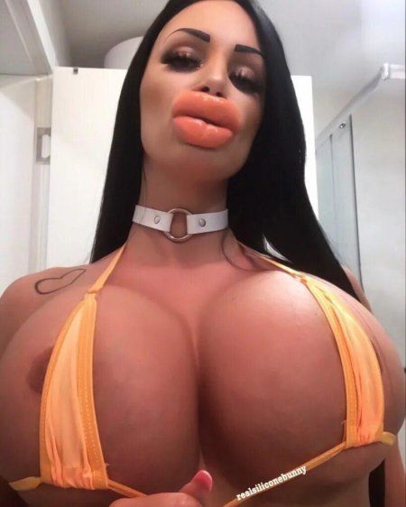 Mula Bimbo