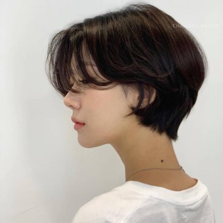 Haircuts 2023