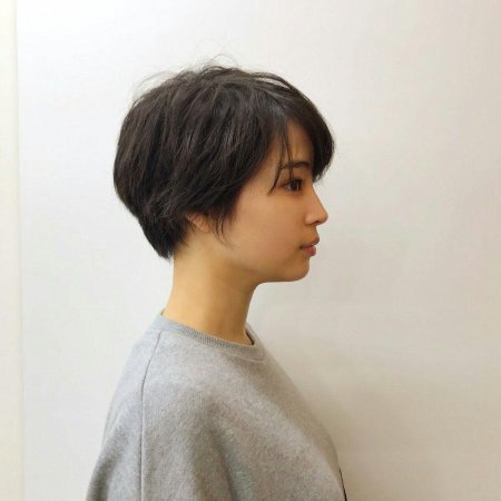 Pixibob Korean haircut