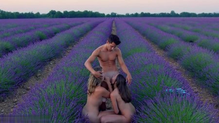 Fuck in the lavender field Fucking
