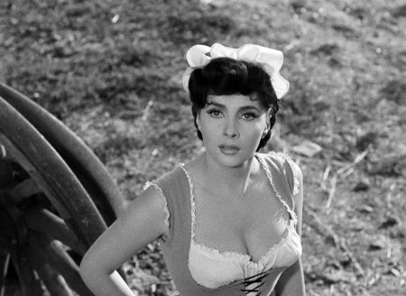 Gina Lollubrida Fan Tulip