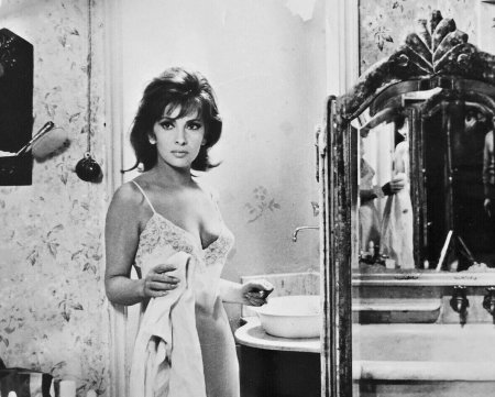 Gina lolbrida Nagaya