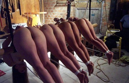 A lot of naked female asses