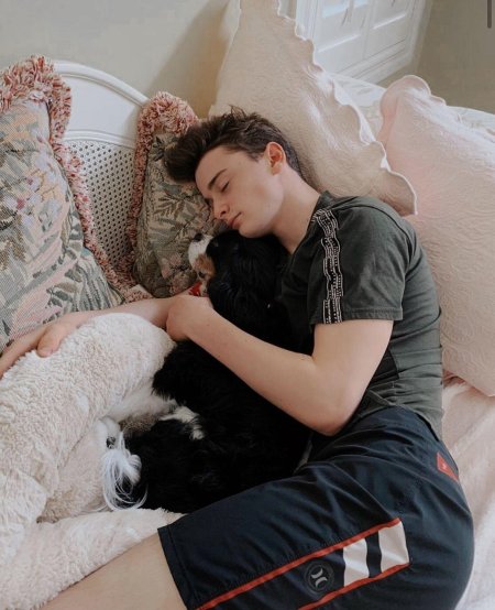 Noah Shnapp