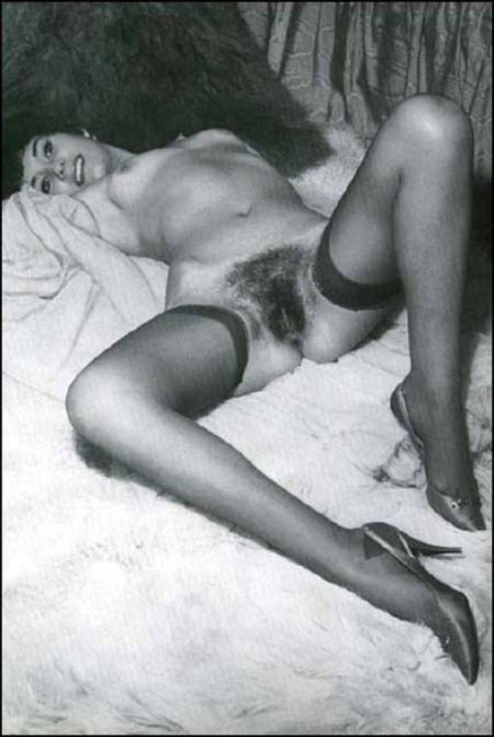 Virginia Bell Vintage Pussy