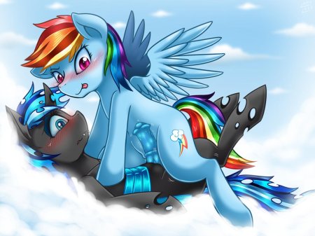 Reinbow Dash and Rhinbow Sex