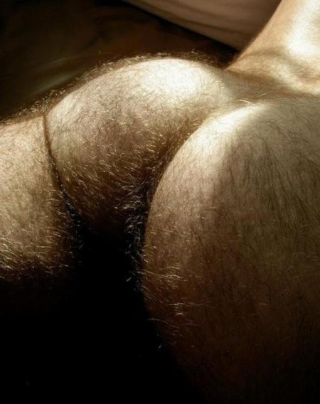 Hairy ones