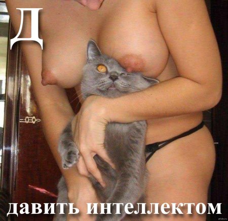 Naked cat