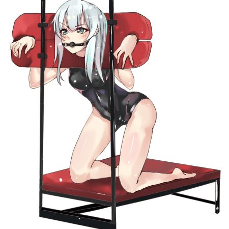 Adult furniture BDSM